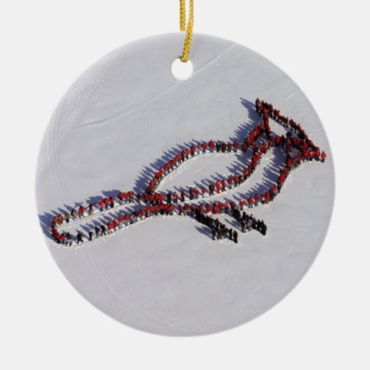 （鳥）ショウジョウコウカンチョウ2010の人のプロジェクトのオーナメント セラミックオーナメント (正面)