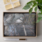 （鳥）ショウジョウコウカンチョウ2926ティッシュペーパー 薄葉紙 (ギフト)