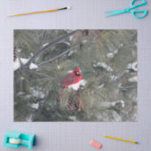 （鳥）ショウジョウコウカンチョウ3093ティッシュペーパー 薄葉紙 (クラフト)