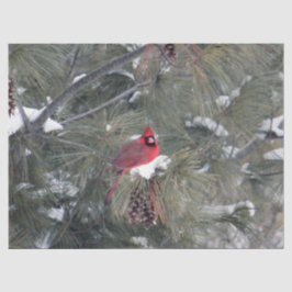 （鳥）ショウジョウコウカンチョウ3093ティッシュペーパー 薄葉紙