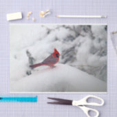 （鳥）ショウジョウコウカンチョウ6239ティッシュペーパー 薄葉紙 (クラフト)