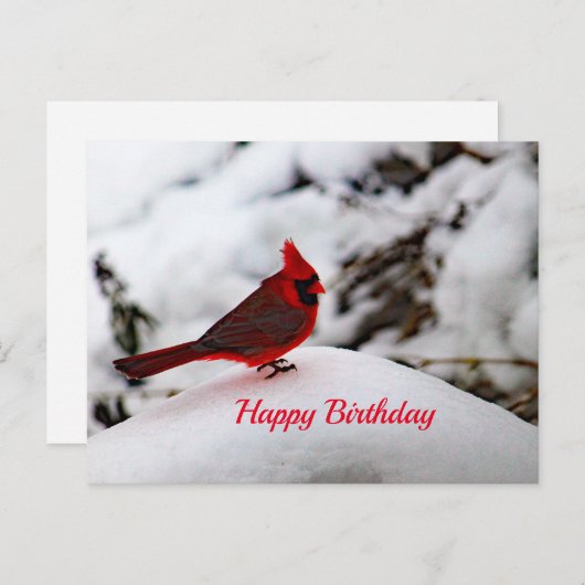 （鳥）ショウジョウコウカンチョウ6239誕生日はがき ポストカード (正面/裏面)