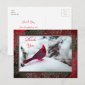 （鳥）ショウジョウコウカンチョウ6241フレームTYポストカード ポストカード (正面/裏面)