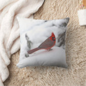 (鳥)ショウジョウコウカンチョウ6241枕 クッション (ブランケット)