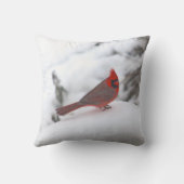 (鳥)ショウジョウコウカンチョウ6241枕 クッション (裏面)