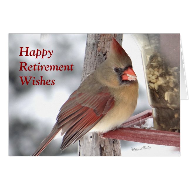 （鳥）ショウジョウコウカンチョウ6649 xc -カスタマイズ (正面横)