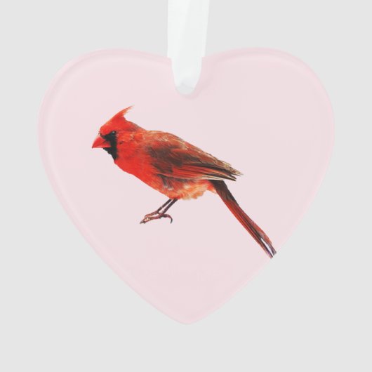 （鳥）ショウジョウコウカンチョウ オーナメント (裏面)