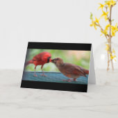 （鳥）ショウジョウコウカンチョウ カード (黄色い花)