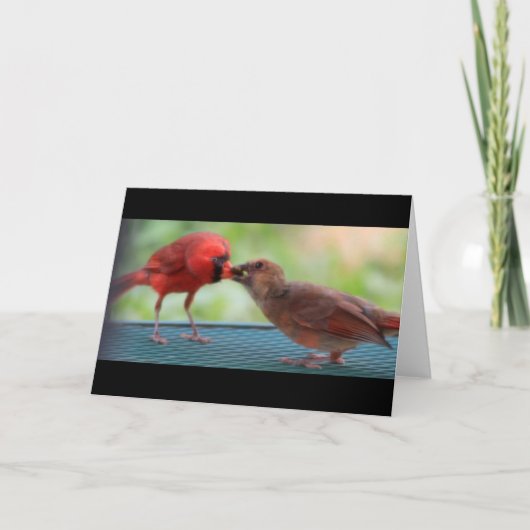 （鳥）ショウジョウコウカンチョウ カード (正面)