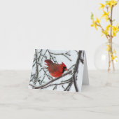 （鳥）ショウジョウコウカンチョウ カード (黄色い花)