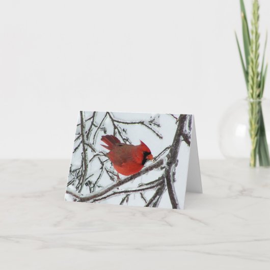 （鳥）ショウジョウコウカンチョウ カード (正面)