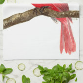 （鳥）ショウジョウコウカンチョウ キッチンタオル (折り畳み)