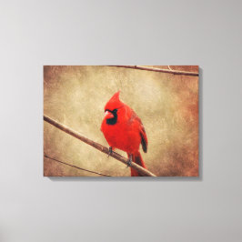 （鳥）ショウジョウコウカンチョウ キャンバスプリント