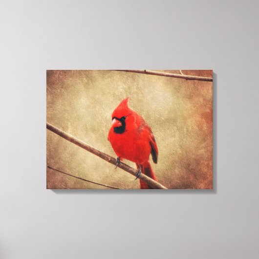 （鳥）ショウジョウコウカンチョウ キャンバスプリント (正面)