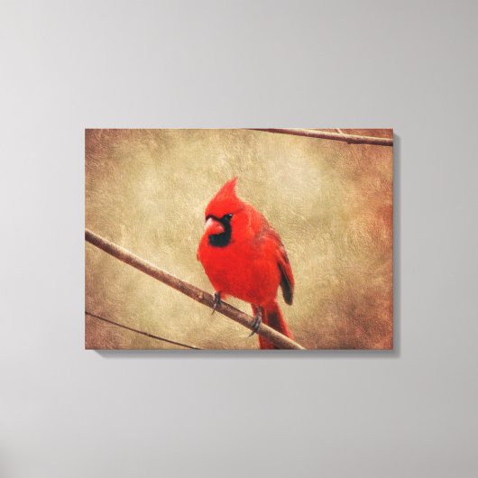 （鳥）ショウジョウコウカンチョウ キャンバスプリント (正面)