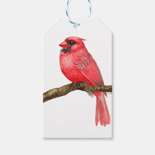 （鳥）ショウジョウコウカンチョウ ギフトタグ (正面)