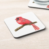 （鳥）ショウジョウコウカンチョウ コースター (左側)