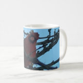 (鳥)ショウジョウコウカンチョウ コーヒーマグカップ (正面右)