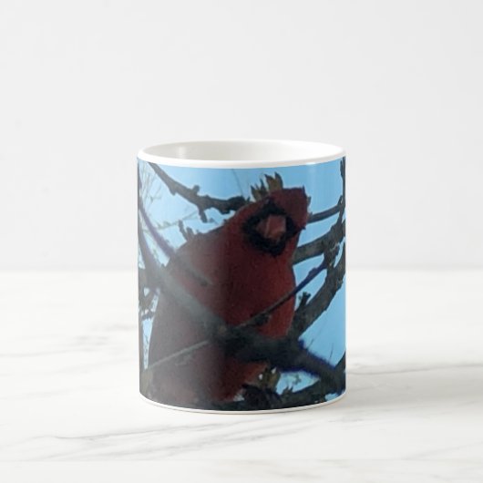 (鳥)ショウジョウコウカンチョウ コーヒーマグカップ (中央)