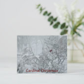 （鳥）ショウジョウコウカンチョウ シーズンポストカード (スタンド正面)