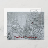 （鳥）ショウジョウコウカンチョウ シーズンポストカード (正面/裏面)