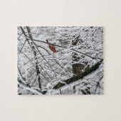 （鳥）ショウジョウコウカンチョウ ジグソーパズル (横)