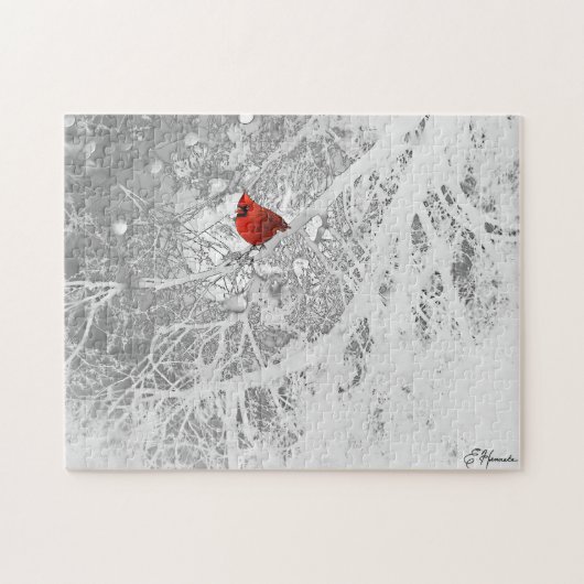 (鳥)ショウジョウコウカンチョウ ジグソーパズル (横)