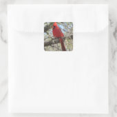 （鳥）ショウジョウコウカンチョウ スクエアシール (バッグ)