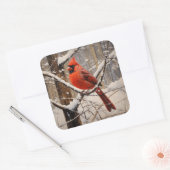 （鳥）ショウジョウコウカンチョウ スクエアシール (封筒)