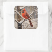 （鳥）ショウジョウコウカンチョウ スクエアシール (バッグ)