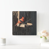 （鳥）ショウジョウコウカンチョウ スクエア壁時計 (ホーム)