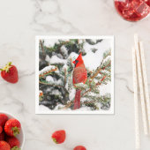 （鳥）ショウジョウコウカンチョウ スタンダードカクテルナプキン (インサイチュ)