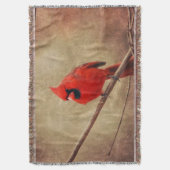 （鳥）ショウジョウコウカンチョウ スローブランケット (正面縦)