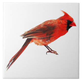 （鳥）ショウジョウコウカンチョウ タイル