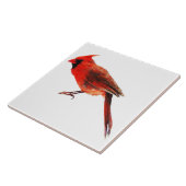 （鳥）ショウジョウコウカンチョウ タイル (側面)