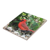 (鳥)ショウジョウコウカンチョウ タイル (側面)