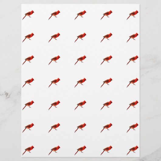 (鳥)ショウジョウコウカンチョウ チラシ (正面)