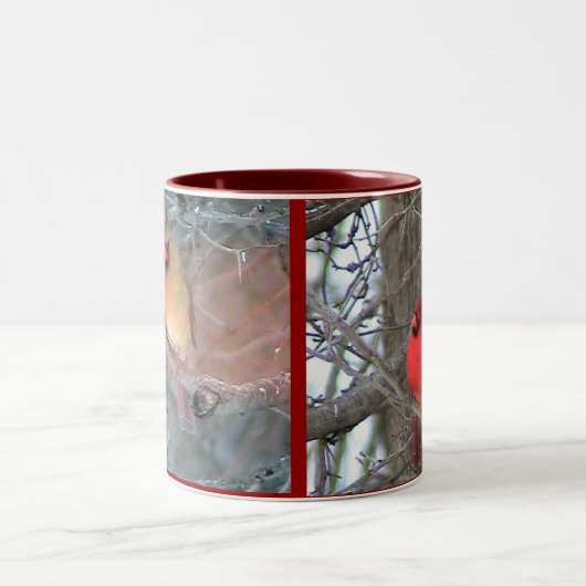 (鳥)ショウジョウコウカンチョウ ツートーンマグカップ (中央)