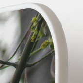 （鳥）ショウジョウコウカンチョウ ピックルボールラケット (左詳細)