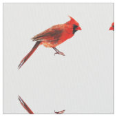 （鳥）ショウジョウコウカンチョウ ファブリック (クローズアップ)