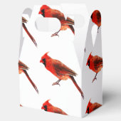 （鳥）ショウジョウコウカンチョウ フェイバーボックス (オープン)