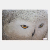 (鳥)ショウジョウコウカンチョウ、フクロウ及び共通地包み紙 ラッピングペーパーシート (正面2)