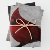 （鳥）ショウジョウコウカンチョウ、フクロウ及び共通地包み紙 ラッピングペーパーシート (インサイチュ)