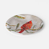 （鳥）ショウジョウコウカンチョウ ペーパープレート (アングル)