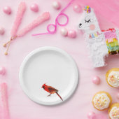 （鳥）ショウジョウコウカンチョウ ペーパープレート (パーティー)