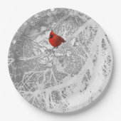 （鳥）ショウジョウコウカンチョウ ペーパープレート (正面)