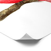 （鳥）ショウジョウコウカンチョウ ポスター (角)