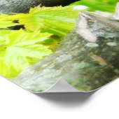 （鳥）ショウジョウコウカンチョウ ポスター (角)