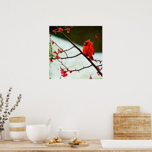 (鳥)ショウジョウコウカンチョウ ポスター (キッチン)