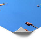 （鳥）ショウジョウコウカンチョウ ポスター (角)